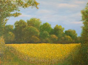 September corner of Sunflower field artwork by Arne Barker